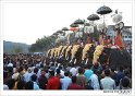 uthralikkavu_pooram (6)